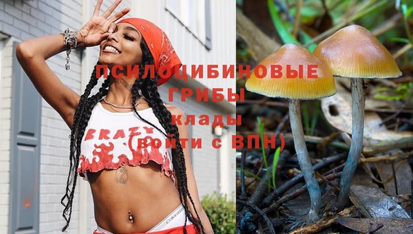 тгк Покров