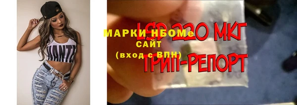ГАЛЛЮЦИНОГЕННЫЕ ГРИБЫ Покачи