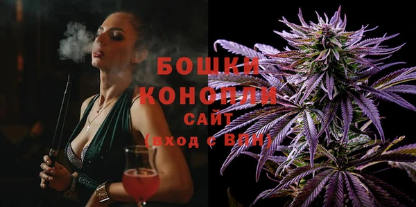 МДПВ Инсар