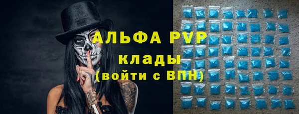 сатива Приозерск