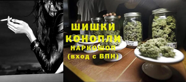 ГАЛЛЮЦИНОГЕННЫЕ ГРИБЫ Покачи