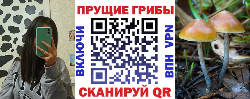 Галлюциногенные грибы Cubensis  MEGA ТОР  Боготол  где можно купить наркотик 