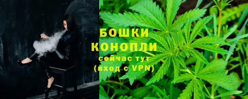 Марихуана White Widow  Боготол 